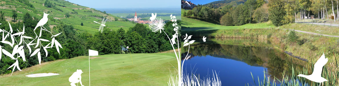 UGOLF Ammerschwihr